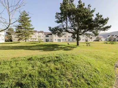 a tree in a field in front of a building at Redwood in Harlech