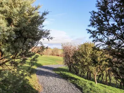 a gravel path through a field with trees at Drovers Barn in Corwen