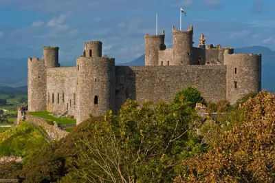 a castle on top of a hill at Bryn Derw in Talsarnau
