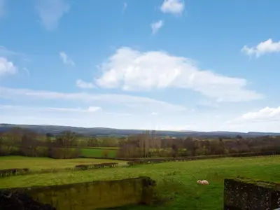 a green field with two sheep in the distance at Badgers Den - Uk32084 in Dorstone