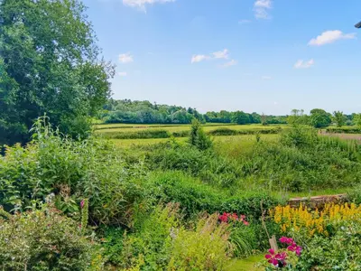 a field filled with lots of plants and flowers at Gooses Roost - Uk32096 in Dorstone