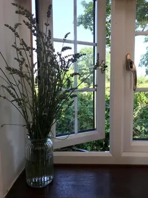 a vase of flowers sitting on a table next to a window at Archers Cottage in Leominster