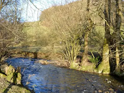 a river in the middle of a field with trees at Cain Pod Vip in Llanfyllin