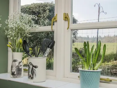three potted plants sitting on a window sill at 1 Royal Oak Cottages in Shrewsbury
