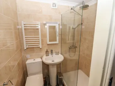 a bathroom with a toilet and a sink and a shower at Top Farm House in Oswestry