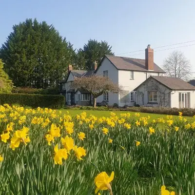 Lower House B&B and Cottages