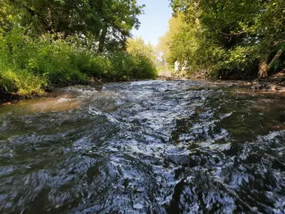 a river with rocks in the water and trees at Riverside Cabin - Sleeps 2 - HotTub - Parking in Oswestry