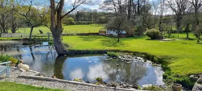a pond in a park with sheep in it at Riverside Cabin - Sleeps 2 - HotTub - Parking in Oswestry