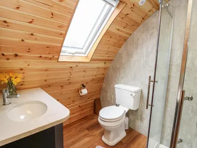 a bathroom with a toilet and a sink at Buttercup in Rhayader