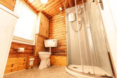 a bathroom with a toilet and a shower at Stunning Log Cabin with Garden in Snowdonia - Hosted by Seren Short Stays in Trawsfynydd