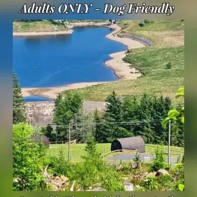 Forester's Retreat Glamping - Cambrian View- Vaccinated dogs over the age of 2 are accepted