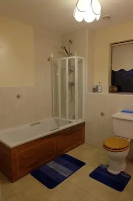 a bathroom with a shower and a toilet and a tub at 15 Bronant in Talgarth