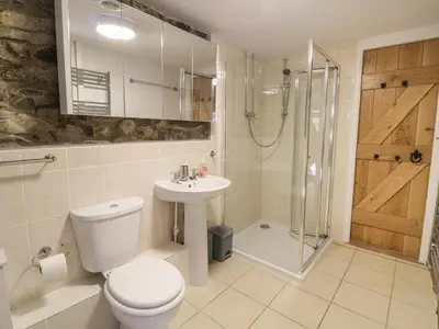 a bathroom with a toilet and a shower and a sink at Brithgwm Canol in Dolgellau