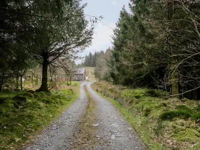 a dirt road in a field with trees at Brithgwm Canol in Dolgellau