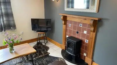 a living room with a fireplace and a television at Crug Yr Eryr Isaf in Llandysul