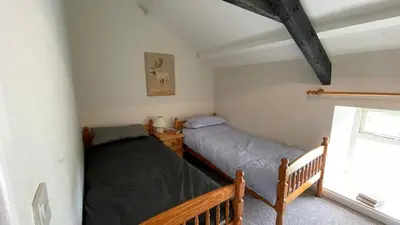 a bedroom with two beds and a window at Crug Yr Eryr Isaf in Llandysul