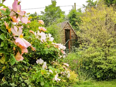a small house in the middle of a garden with flowers at Milford Tree Tops in Craven Arms