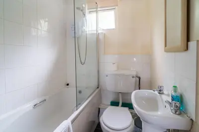 a bathroom with a toilet and a sink and a shower at The Pine Lodge in Aberystwyth