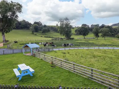 a blue bench in a field with horses in the background at Y Stabl The Stable in Oswestry