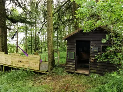 a wooden out house in the middle of a forest at Pant Y Rhedyn in Llandrindod Wells