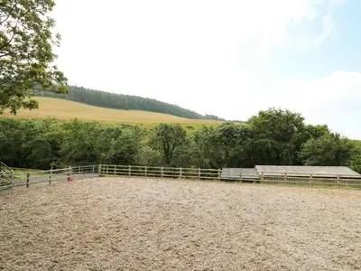 a large horse pasture with a fence and trees at Caban Glas in Aberystwyth