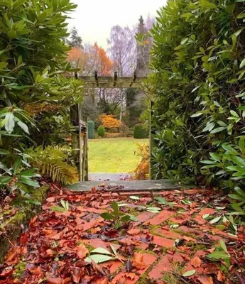 a pathway through a garden with leaves on the ground at Hayes Suite in Oswestry