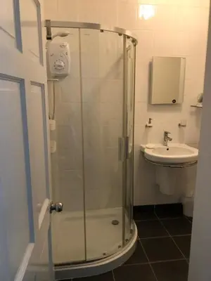a bathroom with a shower and a sink at Flat 2 Frank Lewis House in Hay-on-Wye