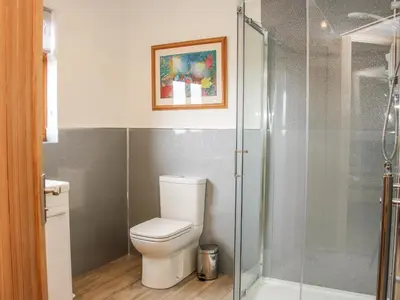 a bathroom with a toilet and a glass shower at Toot View in Ludlow