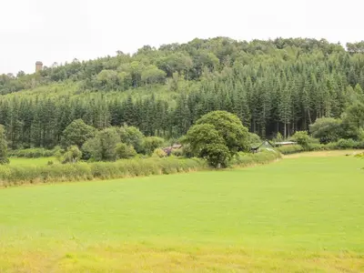 a large green field with trees in the background at Callow Fold in Craven Arms