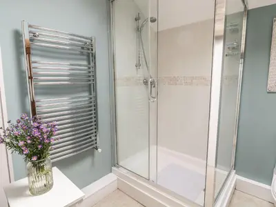 a bathroom with a shower with a vase of flowers at Tan Y Garth Cottage in Corwen