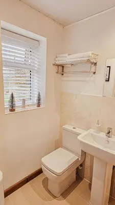 a bathroom with a toilet and a sink and a window at Wild Valley Bunkhouse in Llanrhaeadr-ym-Mochnant