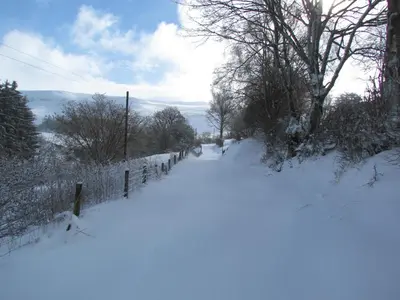 a snow covered road with a fence and trees at Wild Valley Bunkhouse in Llanrhaeadr-ym-Mochnant