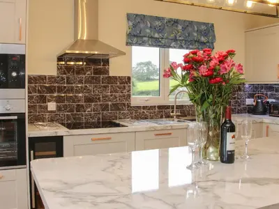 a kitchen with a counter with a vase of red roses at Holly Lodge in Welshpool