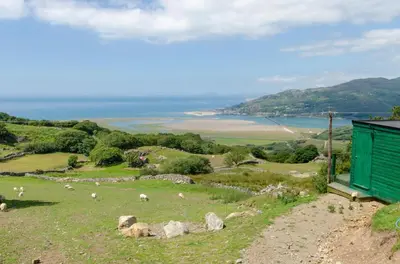 a group of sheep grazing on a hill with the ocean at 6 Bed in Barmouth oc-bow245 in Fairbourne