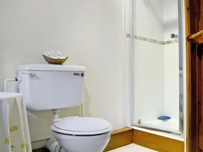 a bathroom with a toilet and a shower at Stable Cottage in Leintwardine