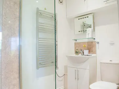 a bathroom with a shower and a toilet and a sink at Hop Kiln Barn in Staunton on Wye
