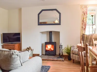 a living room with a wood stove in a room at Uk34913 - Bwlchgraig Fach in Nantcwnlle