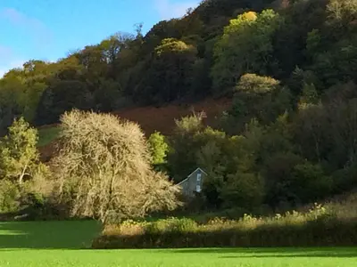 a house in the middle of a field with trees at Pentre Cwm Bach in Llansilin