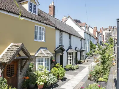 a row of houses in a street with plants at 55 Corve Street in Ludlow