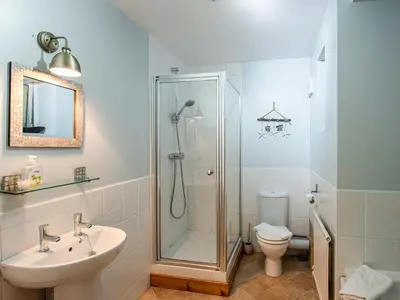 a bathroom with a shower and a sink and a toilet at Brig-Y-Don in Aberaeron