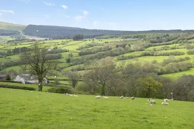 a herd of sheep grazing in a green field at 2 Bed in Cray oc-bow287 in Cray