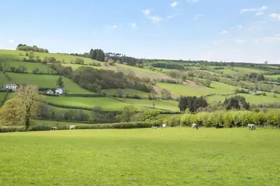 a group of animals grazing in a green field at 2 Bed in Cray oc-bow287 in Cray