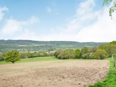 a field with sheep grazing in a grassy field at Edderton Hall Country House in Welshpool