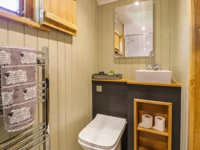 a bathroom with a toilet and a sink and a mirror at Moelfre - Shepherds Hut in Llanbedr