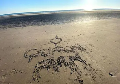 a sign written in the sand on a beach at Granary Retreat for 2 inc shared Dog Field in Bryn-crug