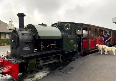 a man and a dog standing next to a train at Cozy Log Burner Cottage & On-Site Dog Field in Bryn-crug