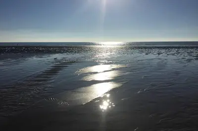 a beach with the sun reflecting on the water at Hendre Fechan Cottage, Nr Barmouth, Pets welcome, beautiful views. in Llanddwywe