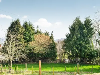a group of trees in a field with a fence at Ty Olwyn Bach - Uk36418 in Talybont