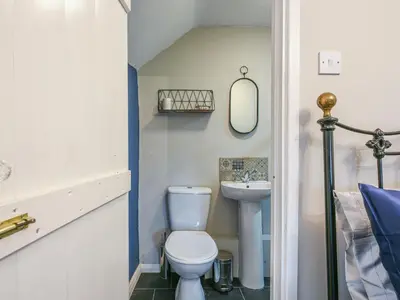 a bathroom with a toilet and a sink at Bodeinion in Llanfair Caereinion