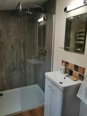 a bathroom with a shower and a sink and a tub at Lion Hotel in Llanbister
